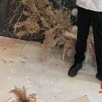 Ольга, 53 года